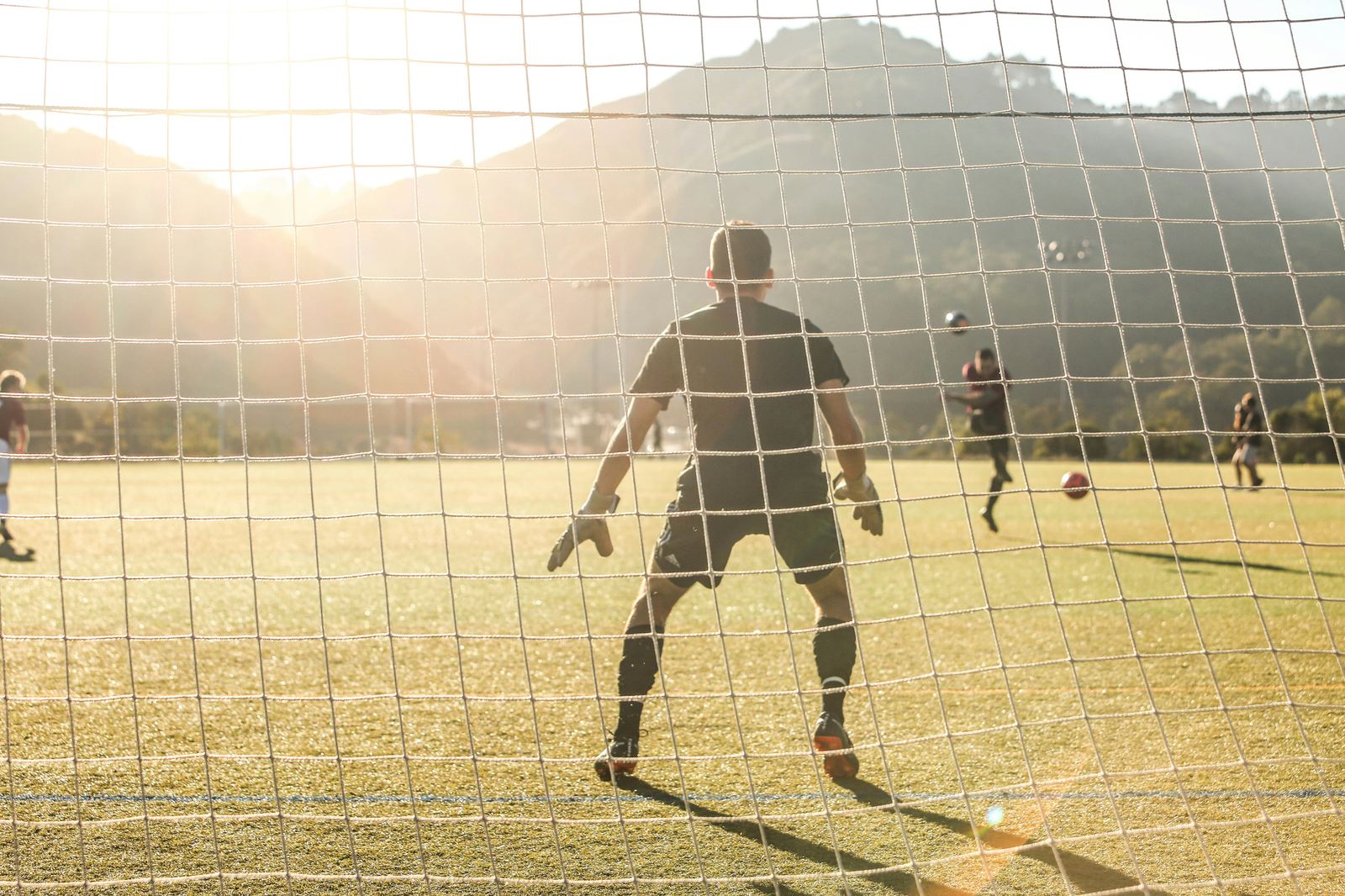 贝博体育 · 体育栏目服务配图（示意）